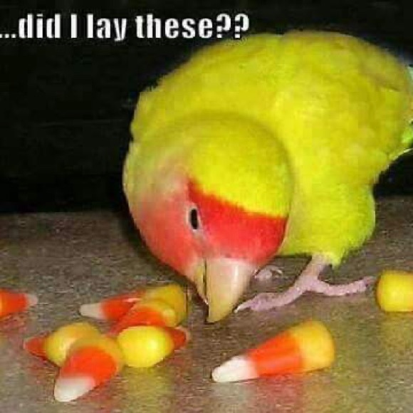 PLEASE LIKE NEW FOLLOW GAME!💫🌟 WE DID IT! 🌟💫 THANK YOU! 🤗 SEE GAME 8! - Picture 3 of 15